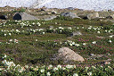 asahidake06_thumb.jpg