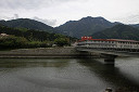 yakusima1-03_thumb.jpg
