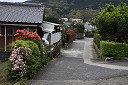 yakusima1-04_thumb.jpg