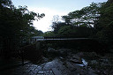yakusima1-06_thumb.jpg