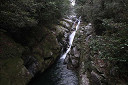 yakusima1-07_thumb.jpg