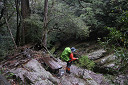 yakusima1-08_thumb.jpg
