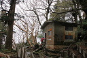 yakusima2-09_thumb.jpg