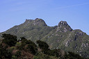 yakusima2-29_thumb.jpg