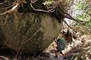 yakusima2-32_thumb.jpg