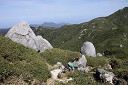 yakusima2-50_thumb.jpg