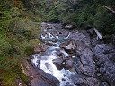 yakusima1-04_thumb.jpg