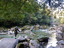 yakusima1-06_thumb.jpg