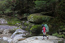 yakusima1-07_thumb.jpg