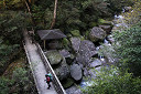 yakusima1-09_thumb.jpg