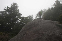 yakusima3-08_thumb.jpg