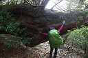 yakusima3-11_thumb.jpg